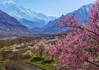 Hunza Velley Blossom Tours
 summit ridge